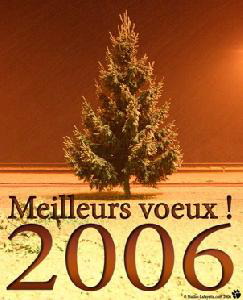 photo_7