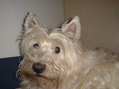 1DSC00011.JPG