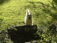 DSC00002.JPG