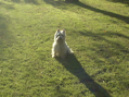DSC00003.JPG