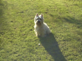 DSC00004.JPG