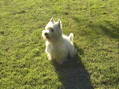 DSC00005.JPG