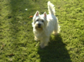 DSC00006.JPG