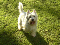 DSC00007.JPG