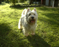 DSC00008.JPG