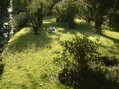 DSC00010.JPG