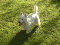 DSC00011.JPG