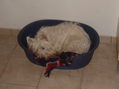 DSC00016.JPG