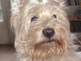 DSC00022.JPG