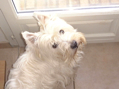 DSC00024.JPG