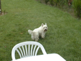 DSC00137.JPG
