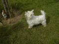 DSC00140.JPG