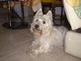 DSC00144.JPG