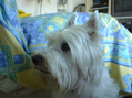 DSC00145.JPG