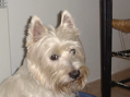 DSC00146.JPG
