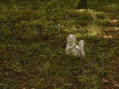 DSC00169.JPG